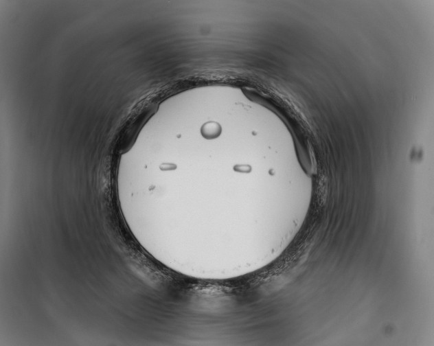 X0000099520407200806121506