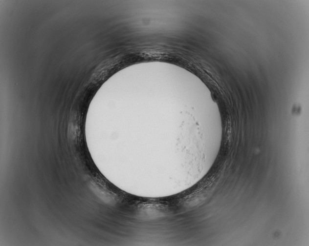 X0000099520408200806121506