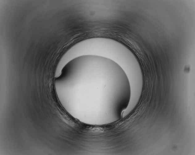 X0000099520409200806121506