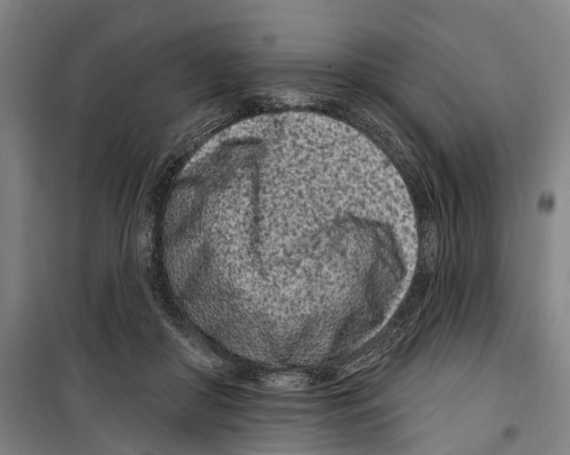 X0000099520410200806121506