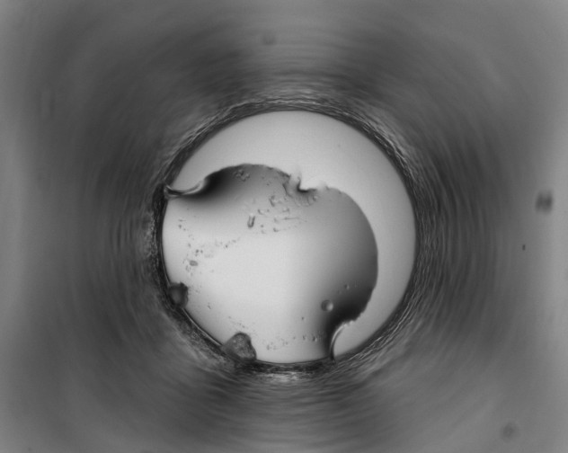 X0000099520411200806121506