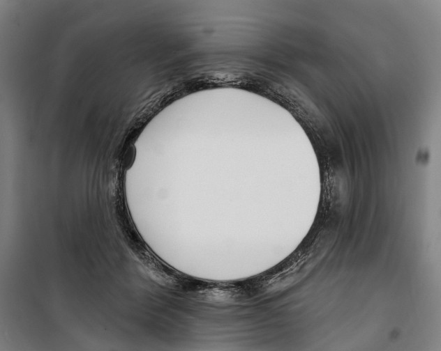 X0000099520412200806121506