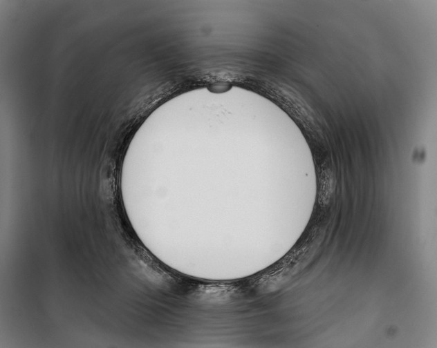 X0000099520414200806121506