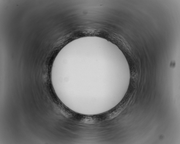 X0000099520416200806121506