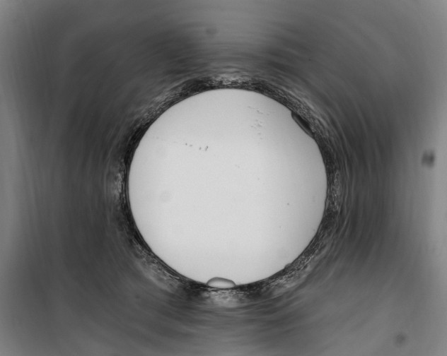 X0000099520417200806121506