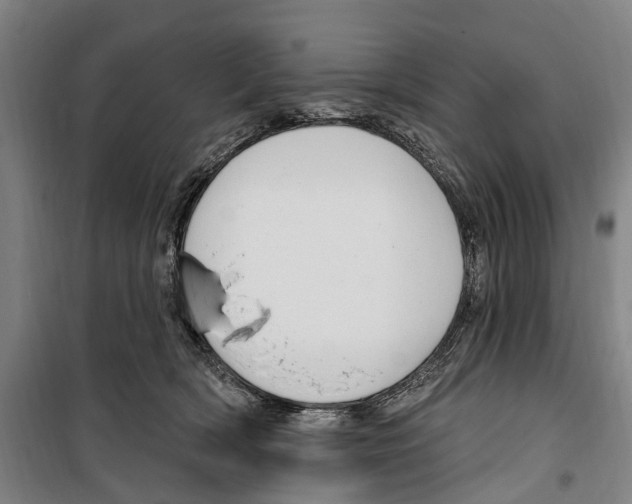 X0000099520418200806121506