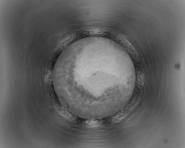 X0000099520419200806121506