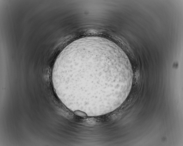 X0000099520423200806121506