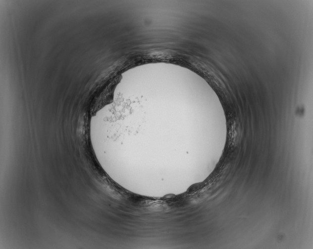 X0000099520424200806121506