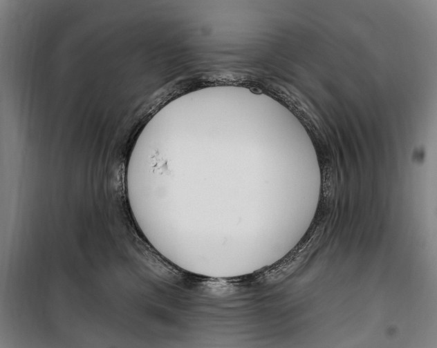 X0000099520425200806121506