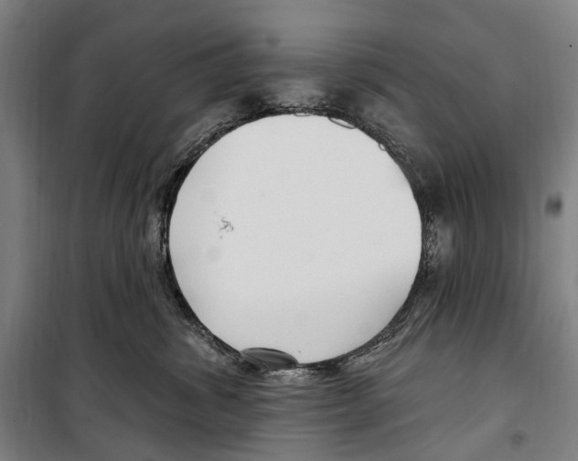 X0000099520428200806121506