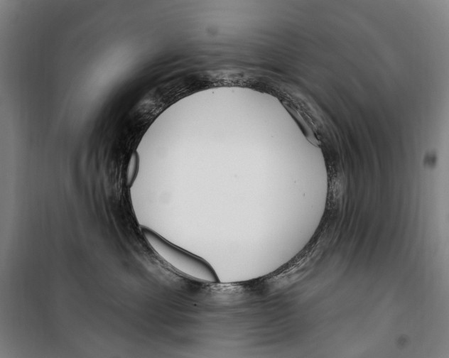 X0000099520429200806121506