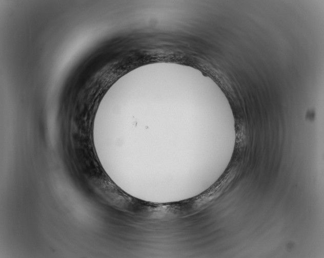 X0000099520430200806121506