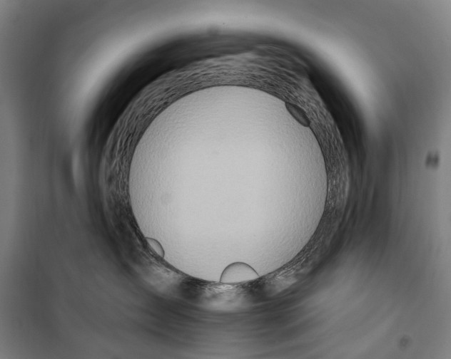 X0000099520431200806121506