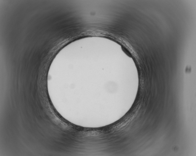 X0000099520433200806121505