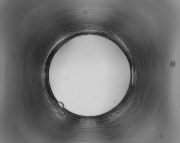 X0000099520435200806121505