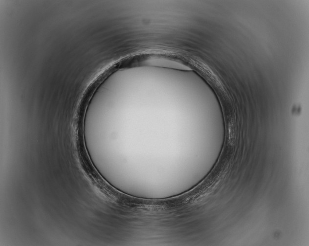 X0000099520436200806121505