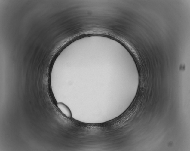 X0000099520437200806121505