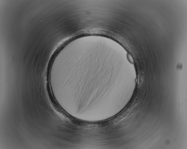 X0000099520438200806121505