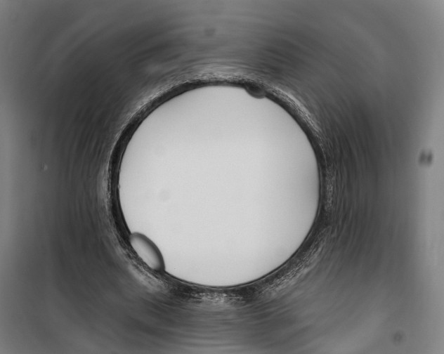 X0000099520439200806121505