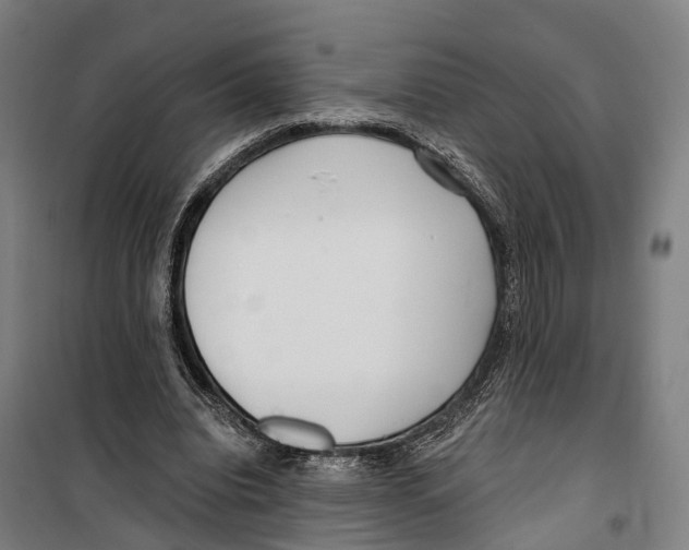 X0000099520440200806121505