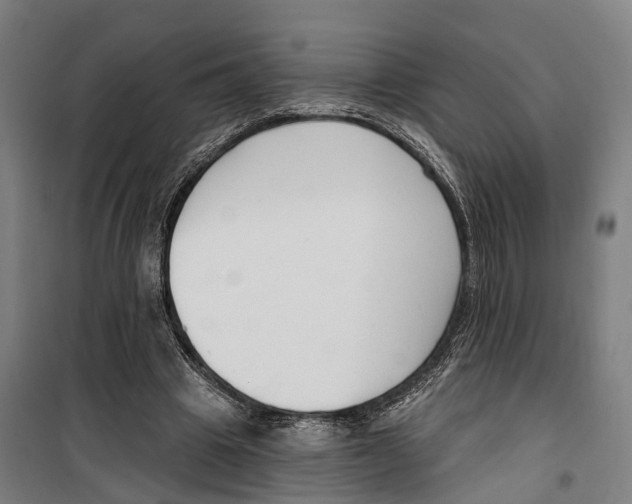 X0000099520441200806121505