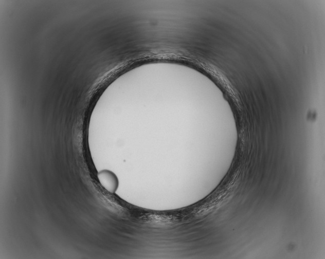 X0000099520442200806121505