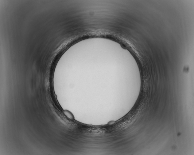 X0000099520443200806121505