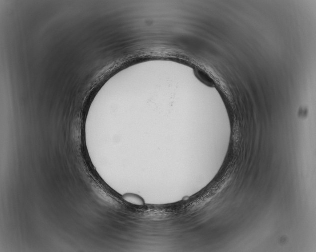 X0000099520445200806121505