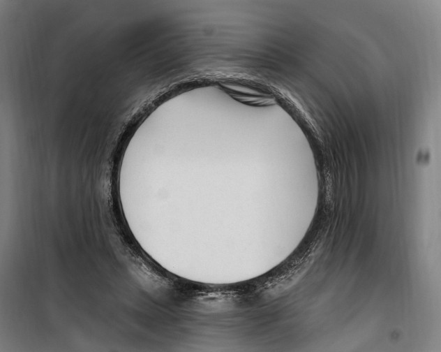 X0000099520447200806121505