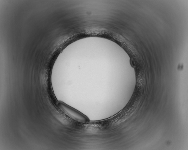 X0000099520448200806121505