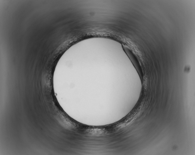 X0000099520449200806121505