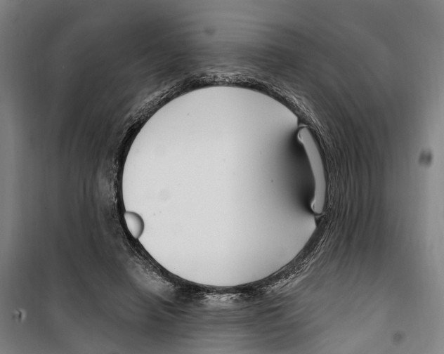 X0000099520450200806121505