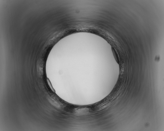 X0000099520452200806121505