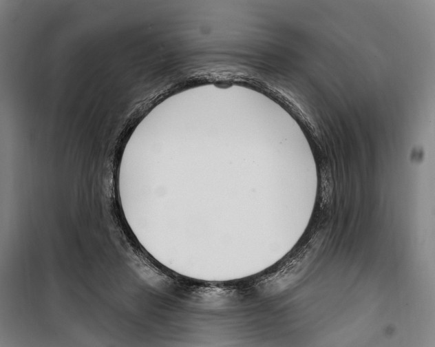 X0000099520453200806121505