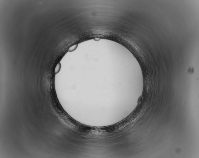 X0000099520455200806121505