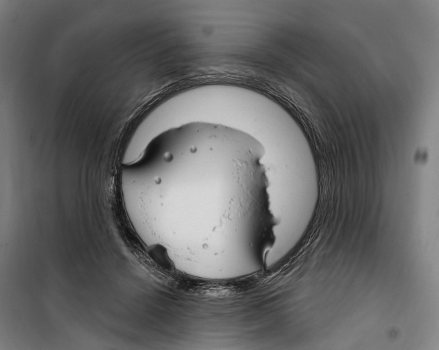 X0000099520456200806121505