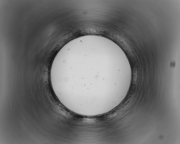 X0000099520457200806121505