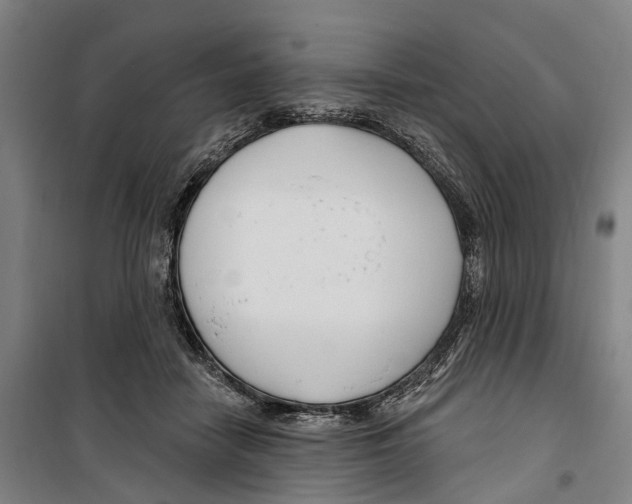 X0000099520458200806121505