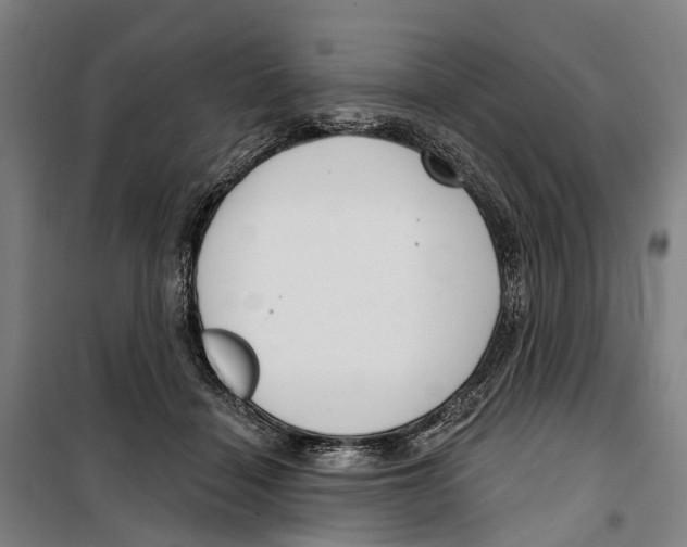 X0000099520460200806121506