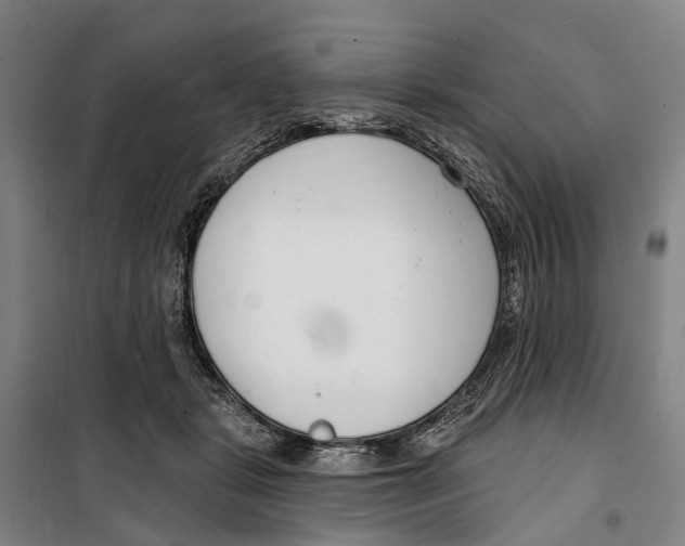 X0000099520461200806121506