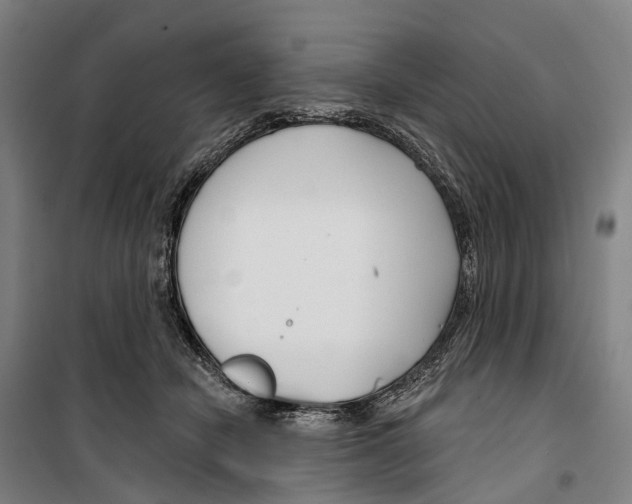 X0000099520462200806121506