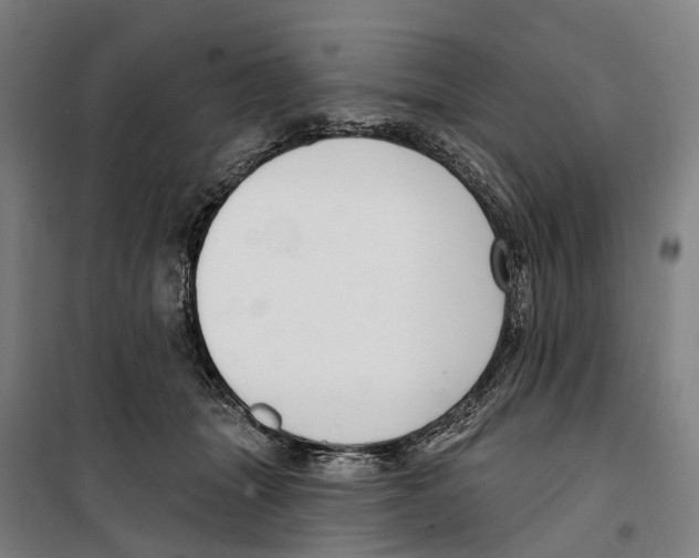 X0000099520463200806121506