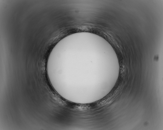 X0000099520466200806121506