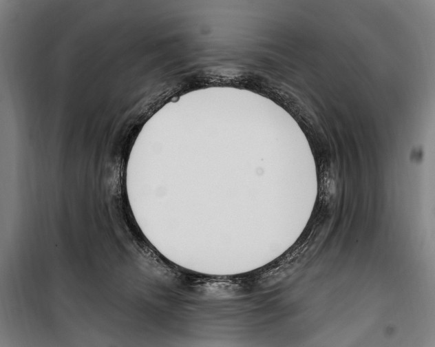 X0000099520468200806121506