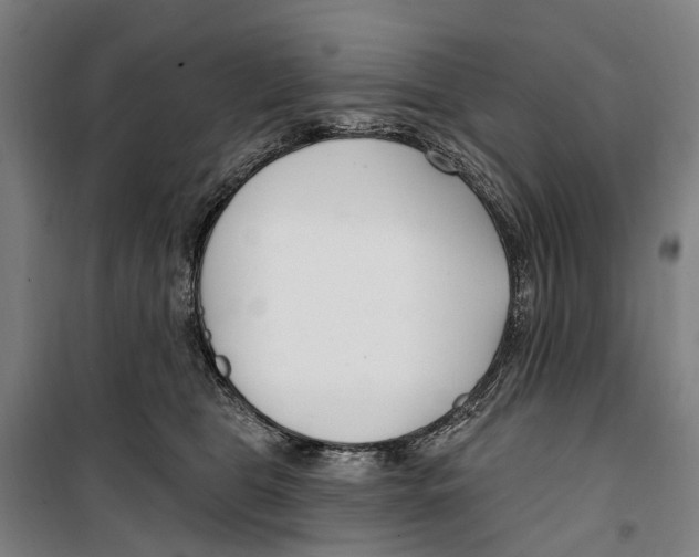 X0000099520469200806121506