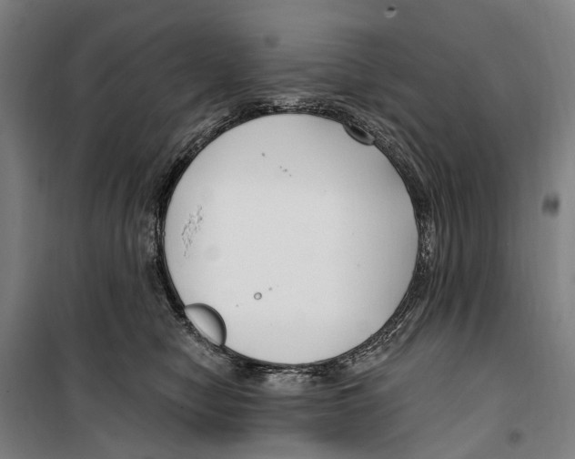 X0000099520470200806121506