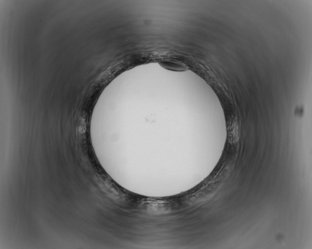 X0000099520472200806121506