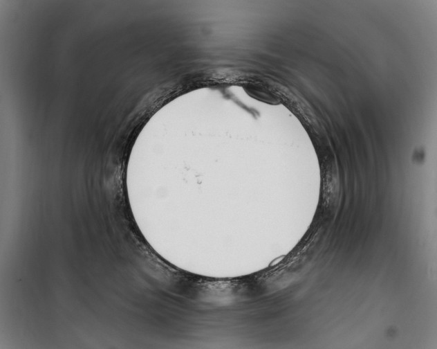 X0000099520473200806121506