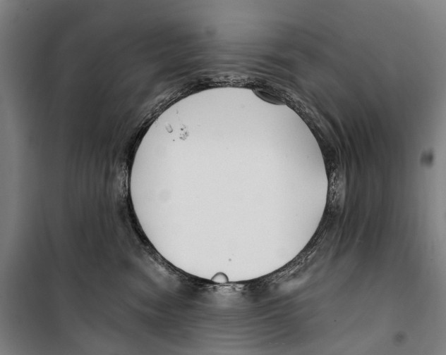 X0000099520474200806121506